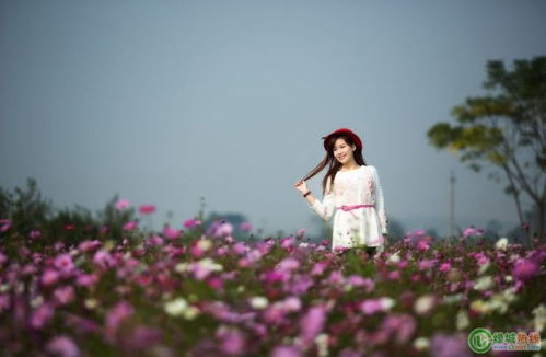格桑花搭配什么衣服
