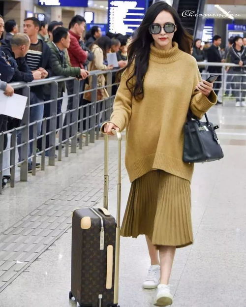 焦糖色百褶裙怎么搭配衣服