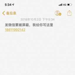 卖衣服搭配好的app有哪些(好一点的,全的,买衣服