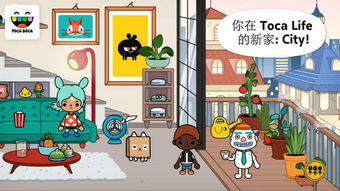 托卡怎么搭配衣服